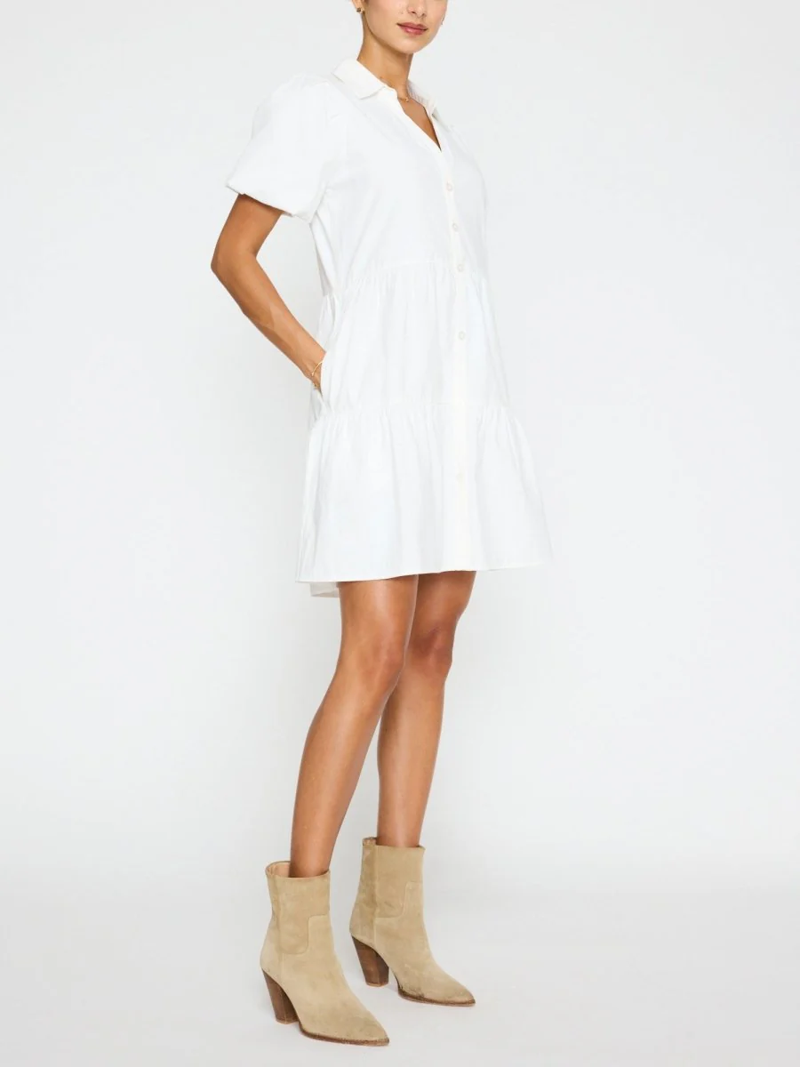 The Havana Mini Dress - Image 4